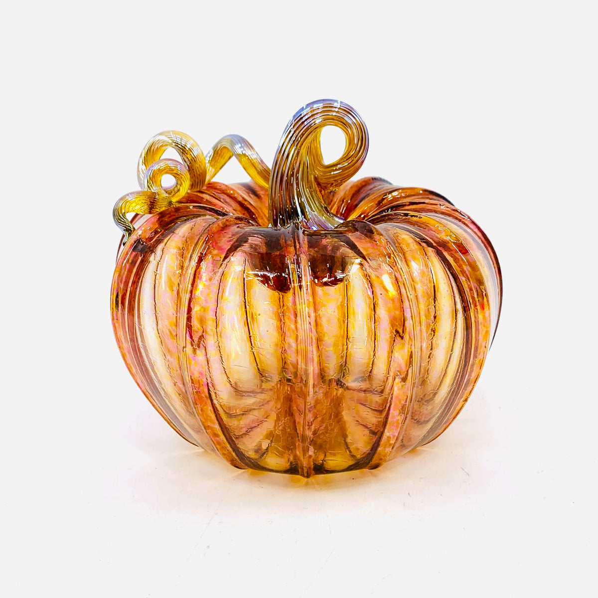 Daily Pumpkin 3213 Fall Squat