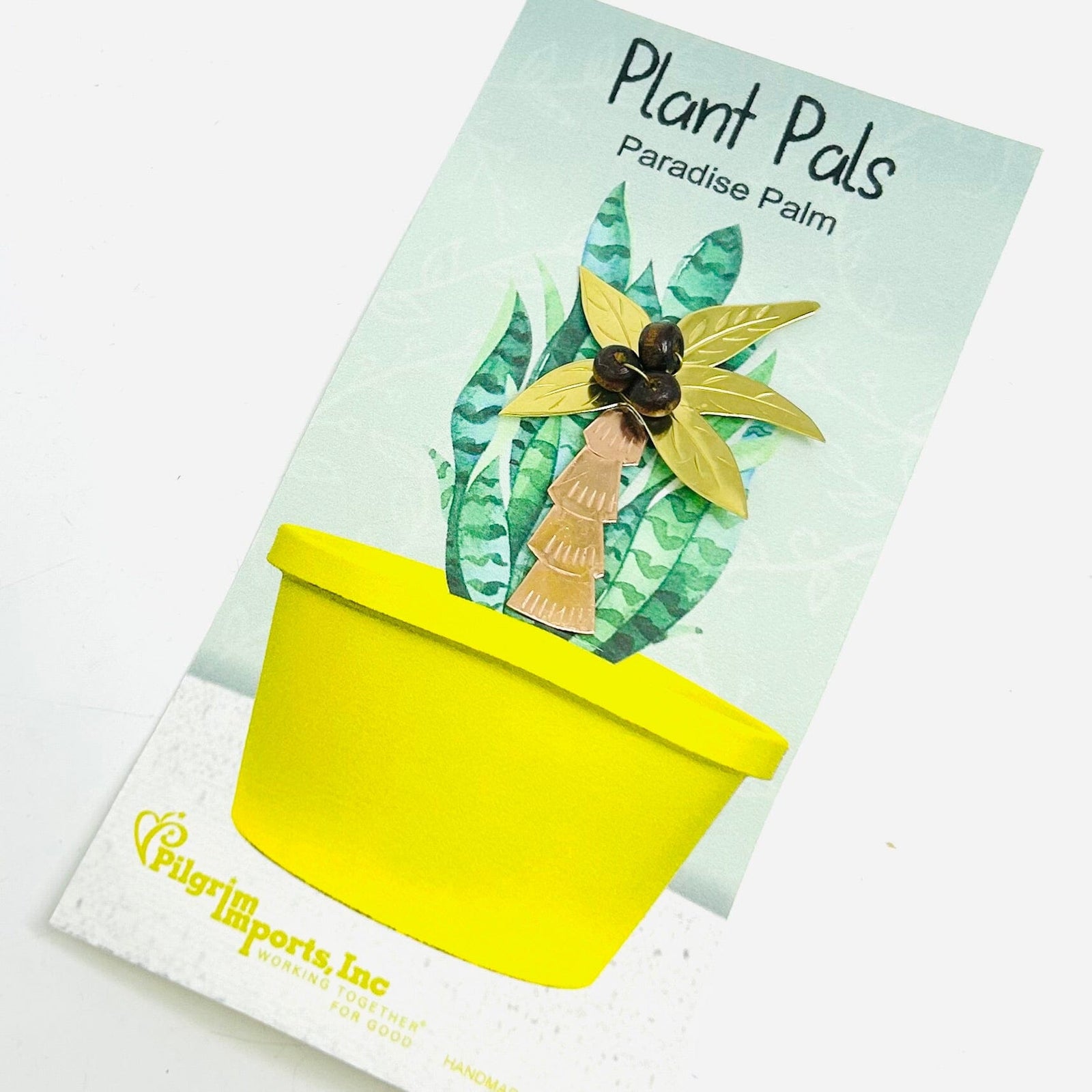 Plant Pals 27, Paradise Palm Miniature Pilgrim Imports 
