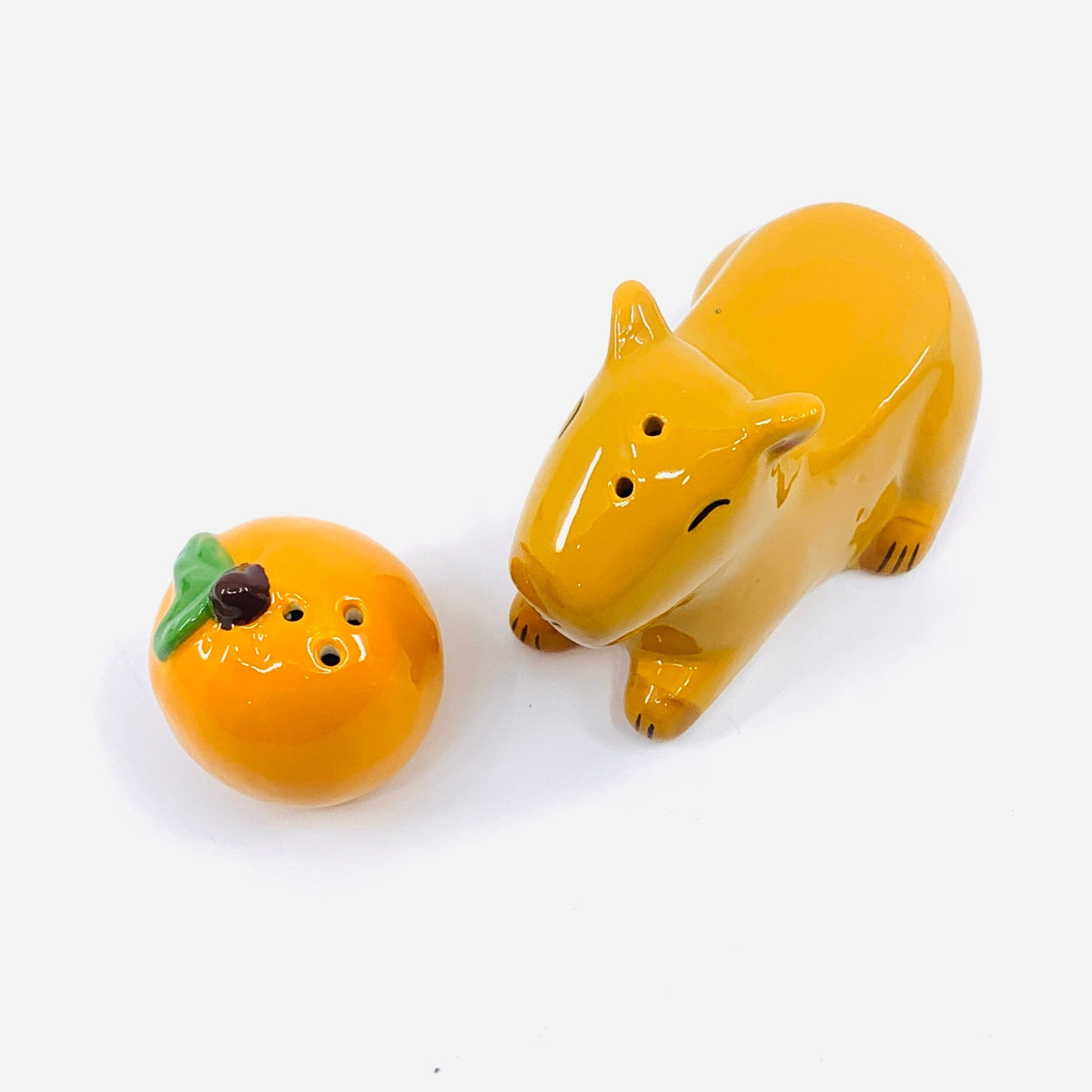 Capybara Salt and Pepper Shakers Decor GANZ 
