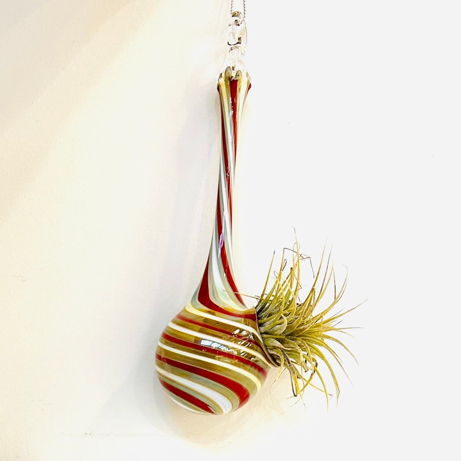 Air Plant Hanging Drop Vase 6 Decor Probstein Studios 