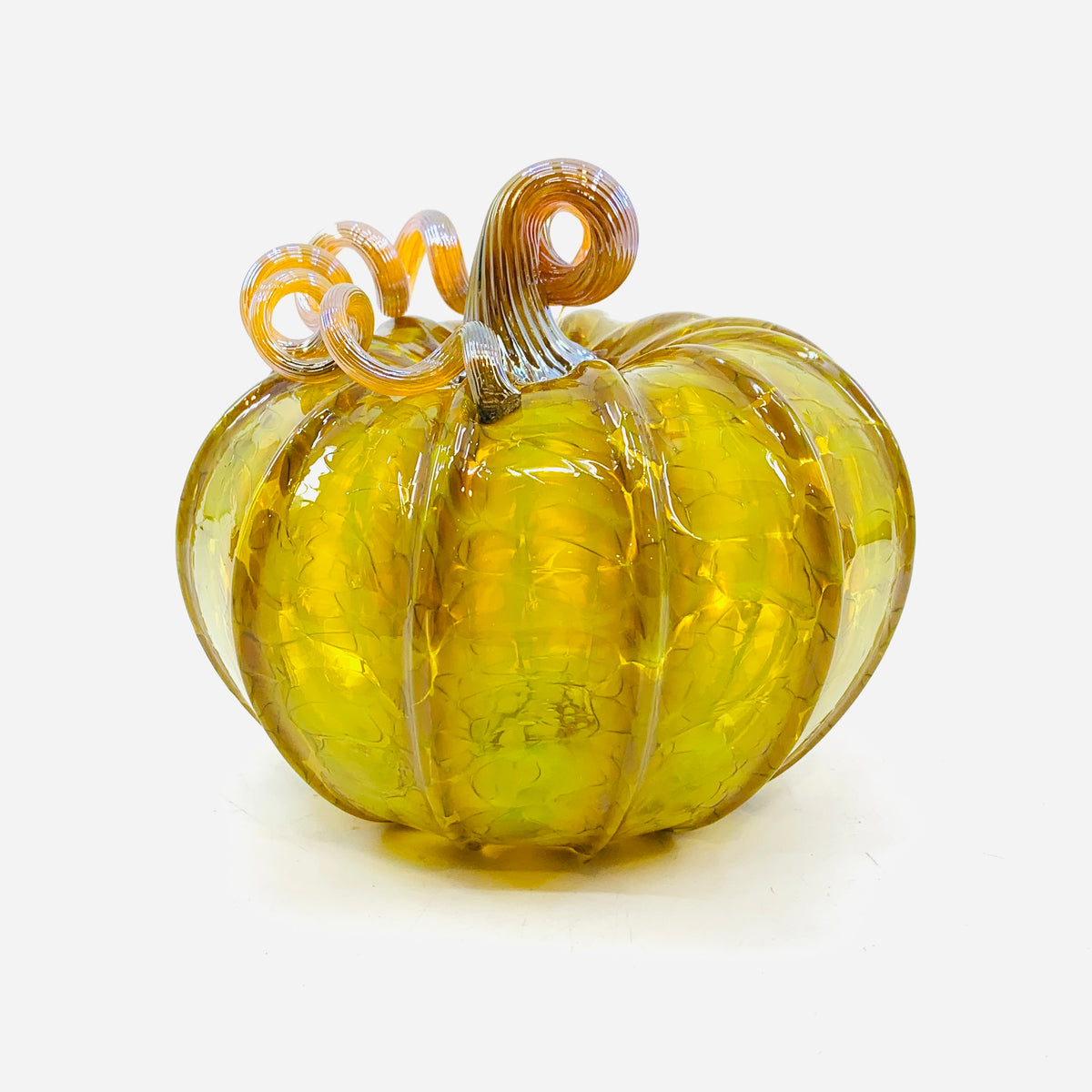 Daily Pumpkin 3681 Fall Squat