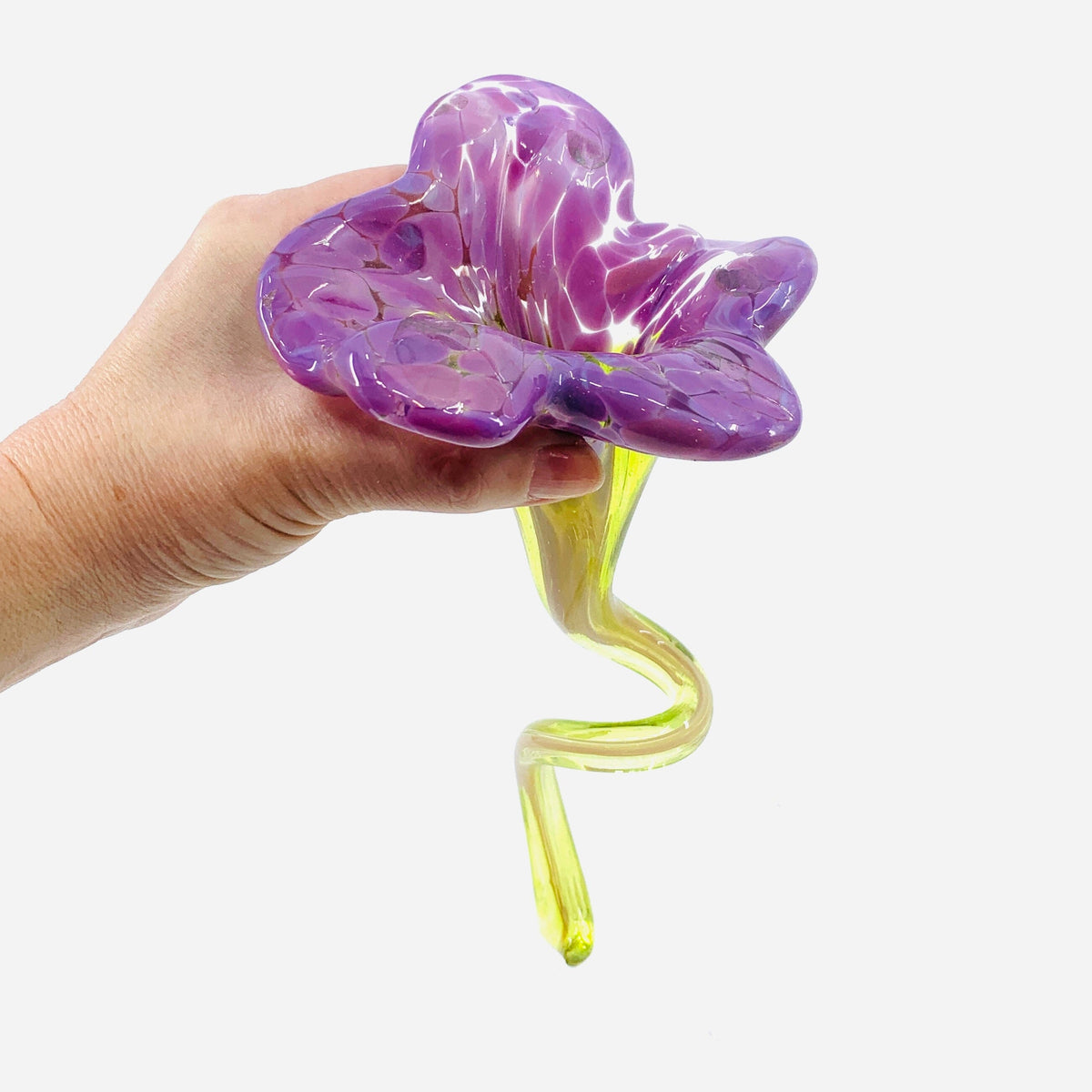 Pulled Glass Flower 14 Decor Luke Adams Glass Blowing Studio 