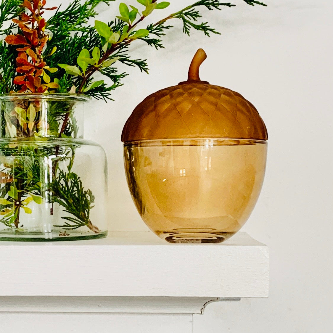 Glass Acorn Jar, Tan