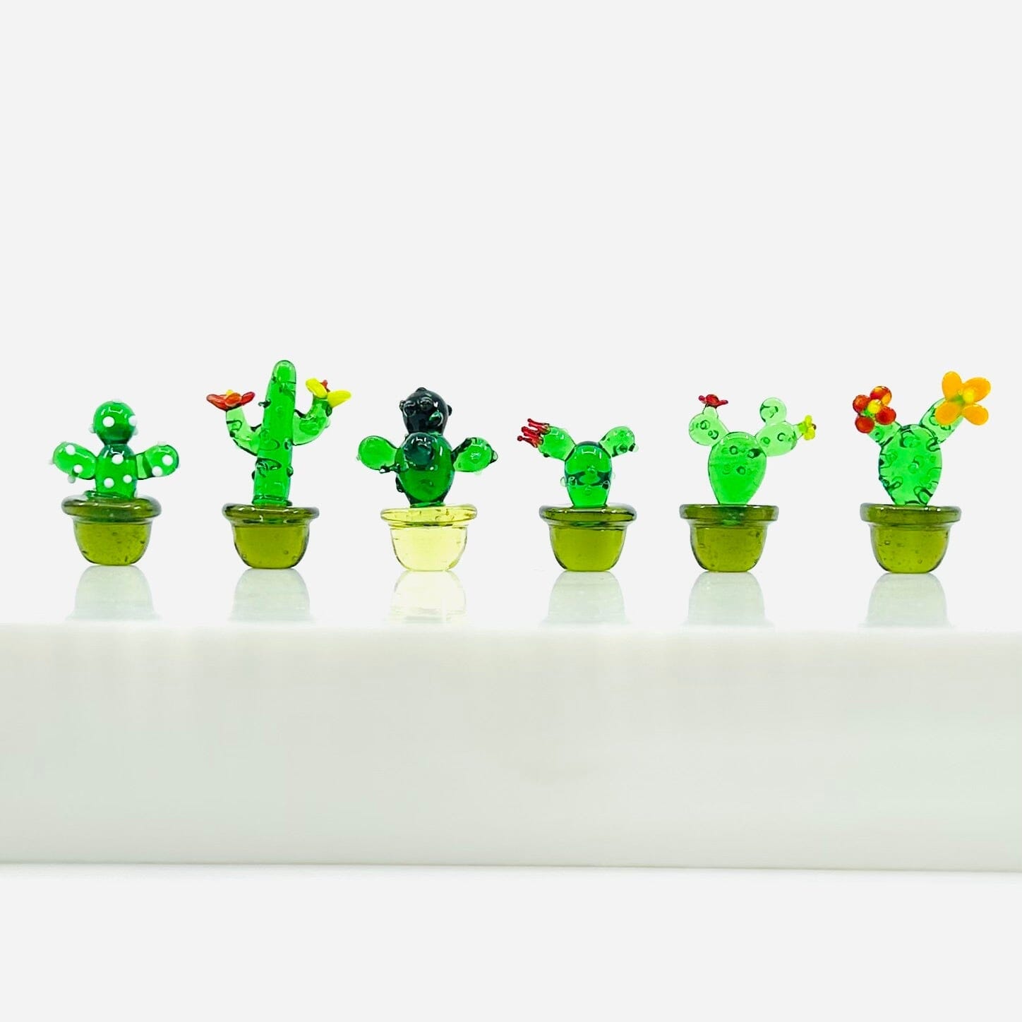 Mini Glass Cactus, Buddy GANZ 