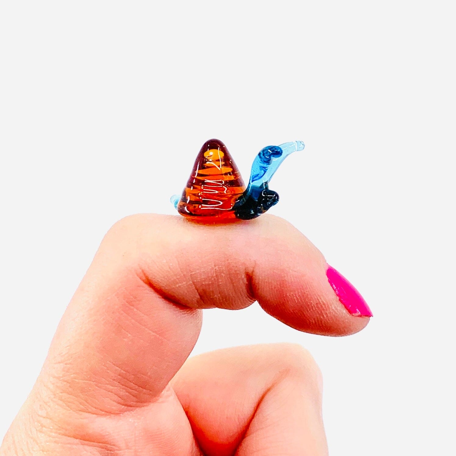 Teeny Teensie Snail JACO 