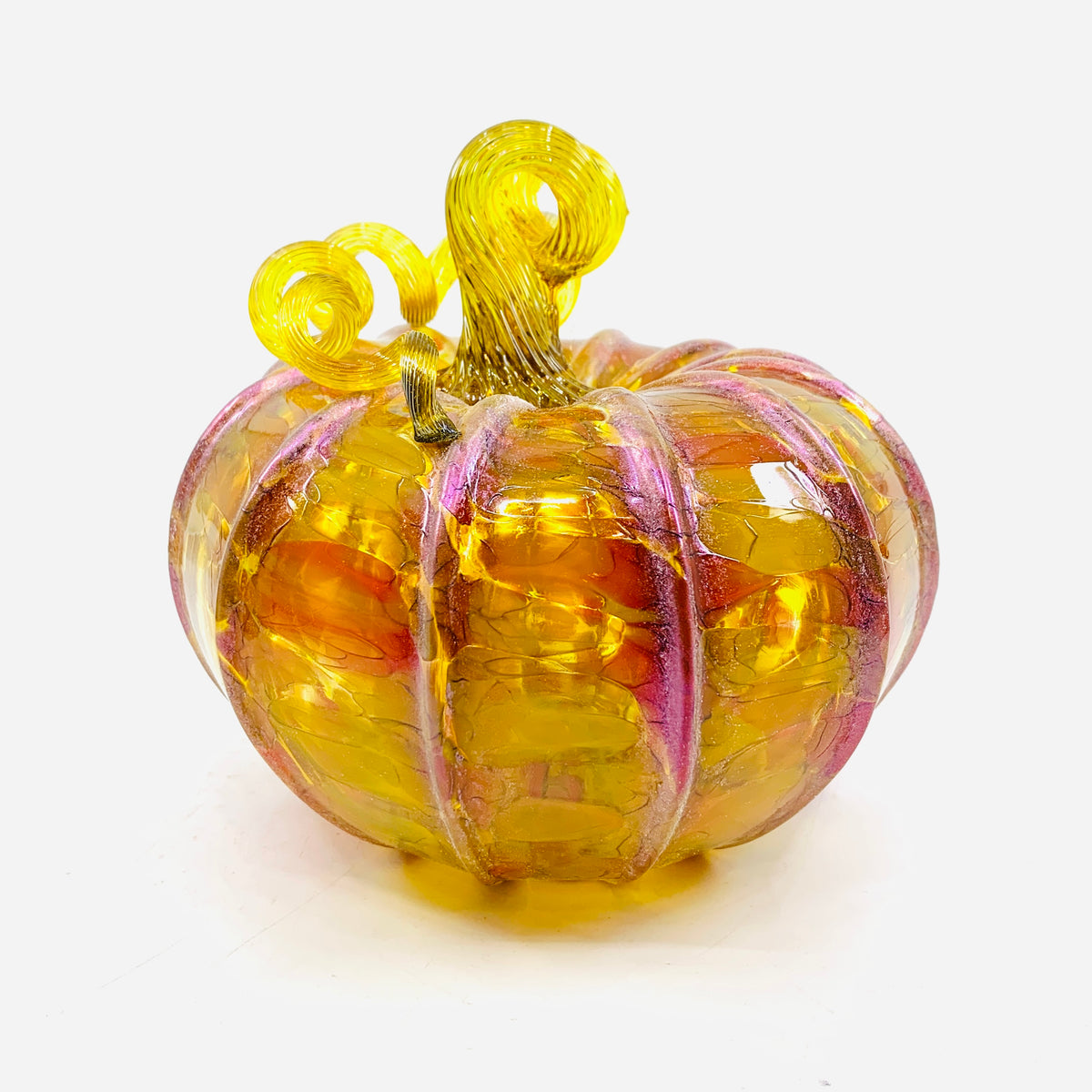 Daily Pumpkin 285 Fall Squat