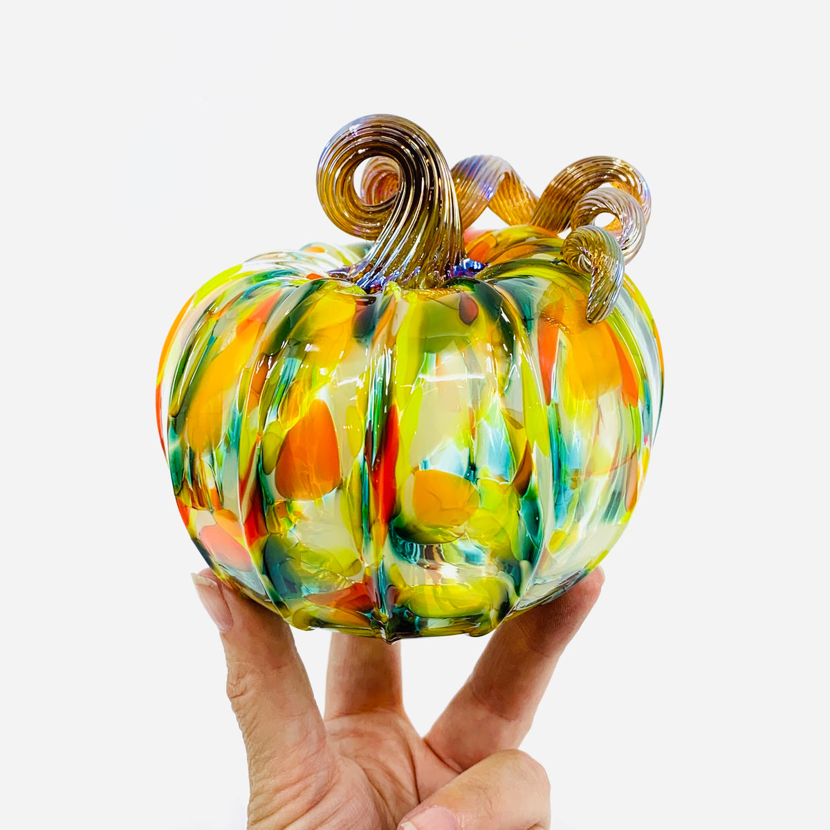 Daily Pumpkin 3180 Fall Squat