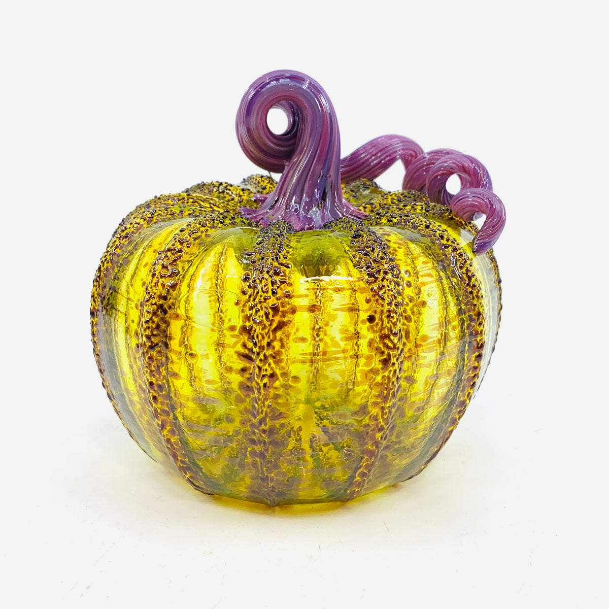 Daily Pumpkin 3161 Fall Squat