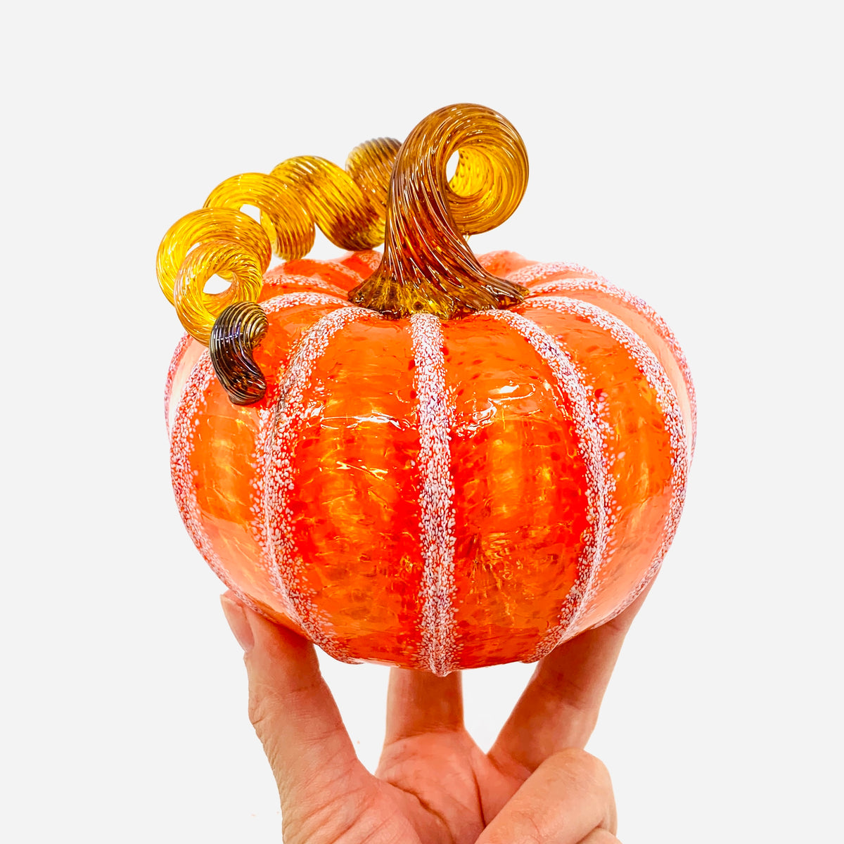 Daily Pumpkin 3645 Fall Squat