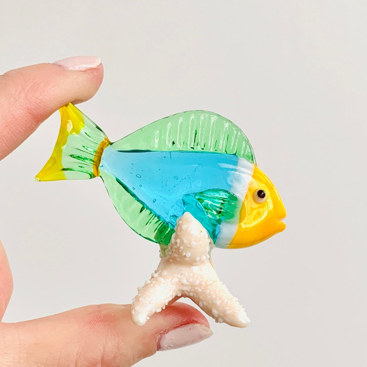 Tropical Fish on Sea Stars, Aqua Decor Beachcombers 