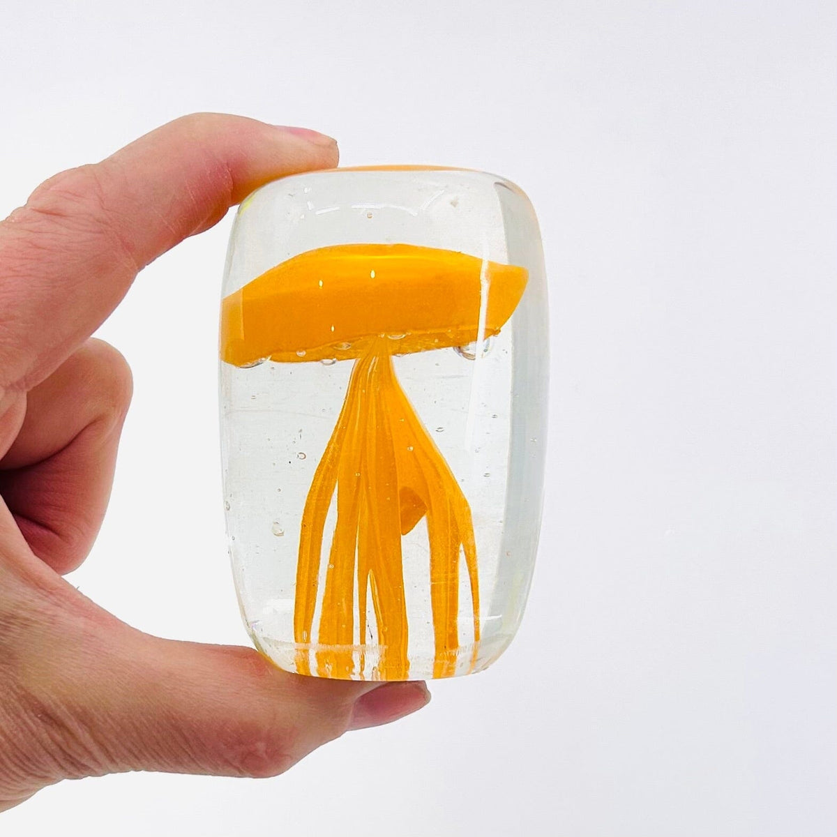 Bright Jellyfish Paperweight 16, Rose Decor Chesapeake Bay 