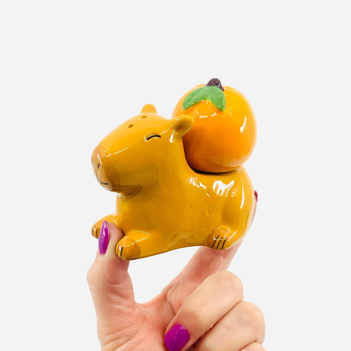 Capybara Salt and Pepper Shakers Decor GANZ 