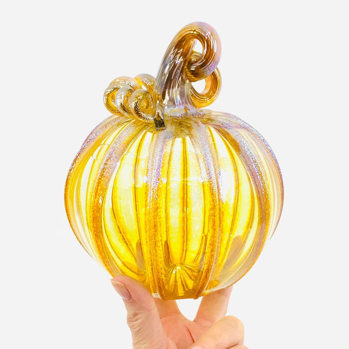 Daily Pumpkin 3872 Medium Gabby Luke Adams Glass Blowing Studio 