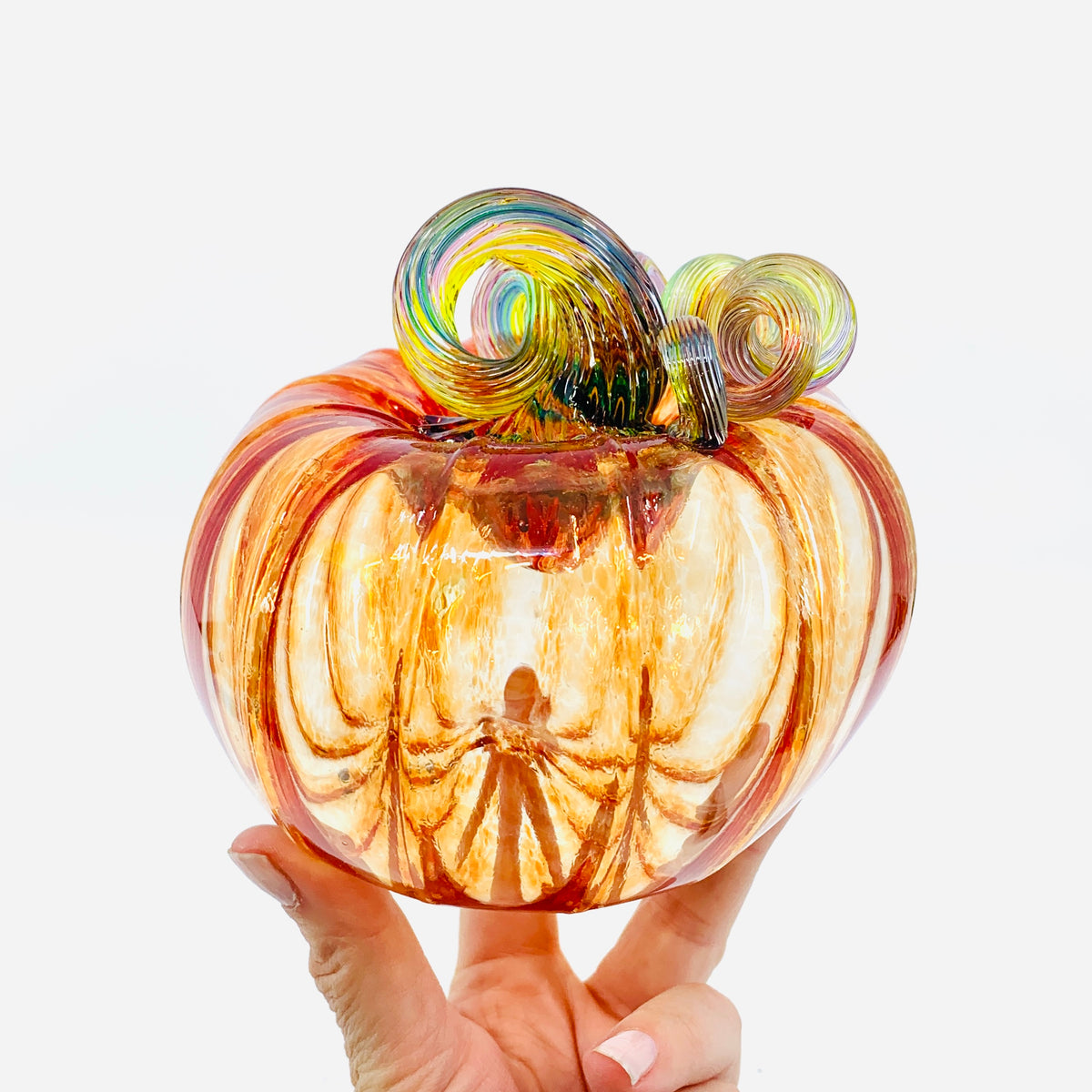 Daily Pumpkin 1123 Rainbow Stem Squat