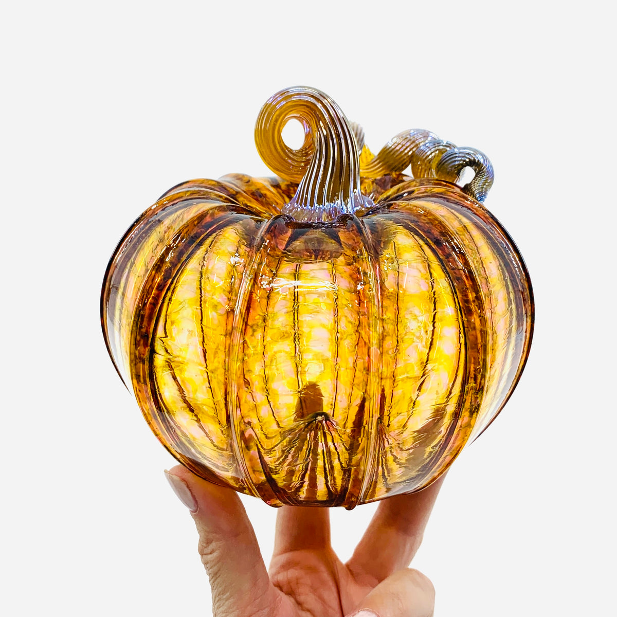 Daily Pumpkin 458 Fall Jumbo Squat