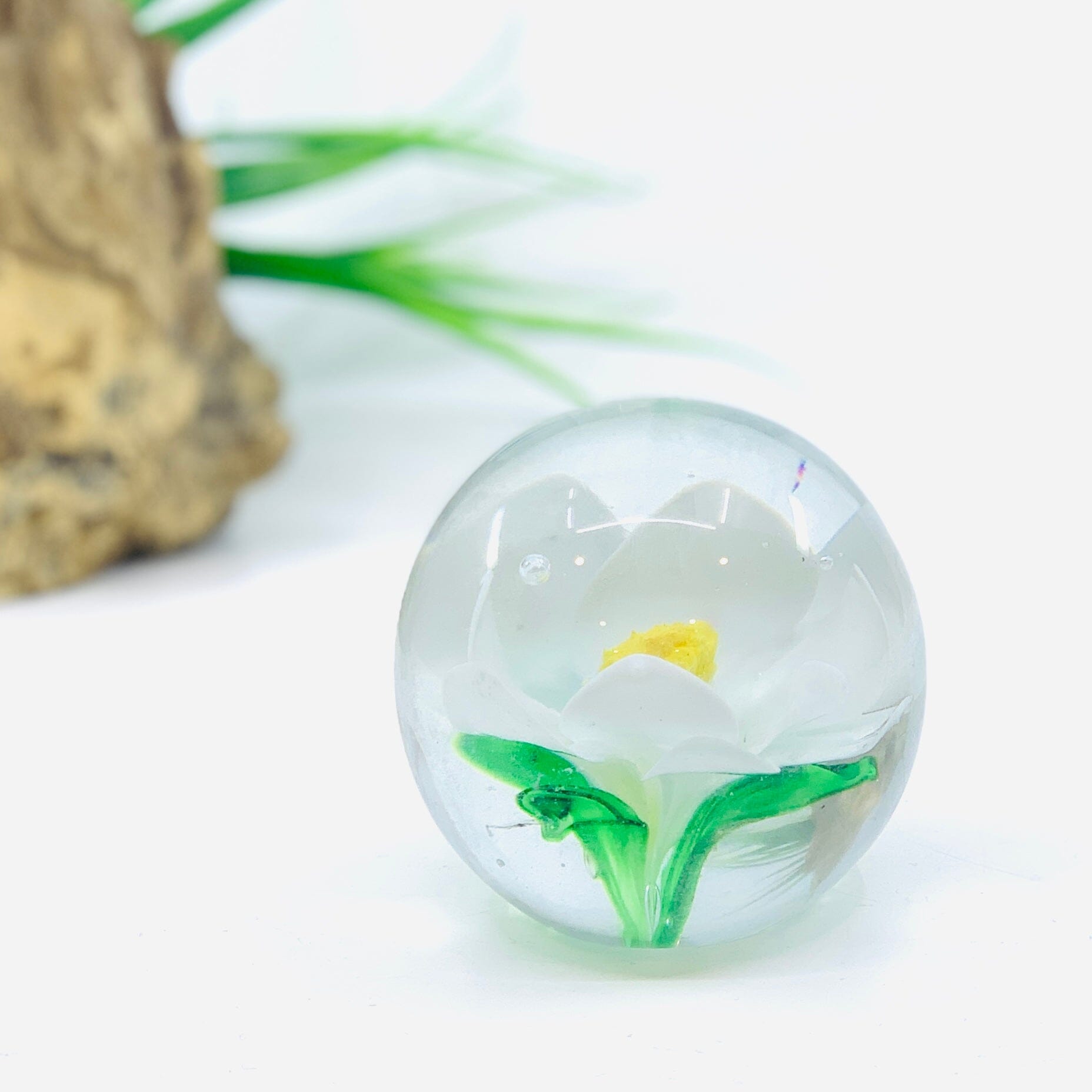 Magnolia Paperweight Paperweight Dynasty 