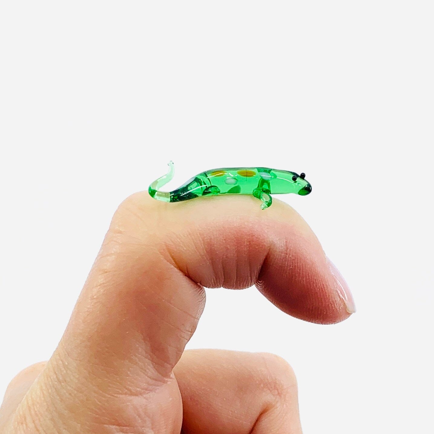Teeny Teensie Lizard 116 JACO 