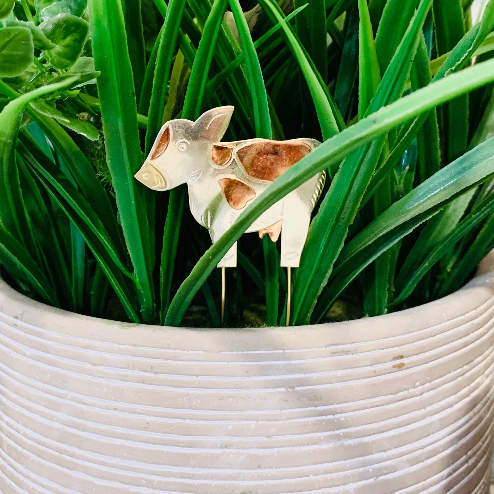 Plant Pals 19, Moo Cow Miniature Pilgrim Imports 