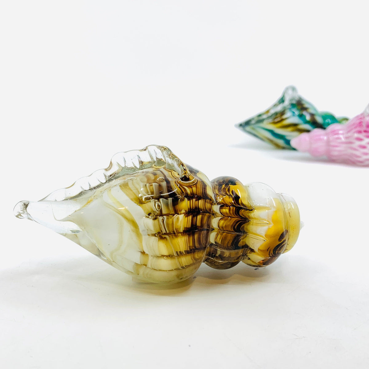 Glass Seashell, Natural Decor Chesapeake Bay 