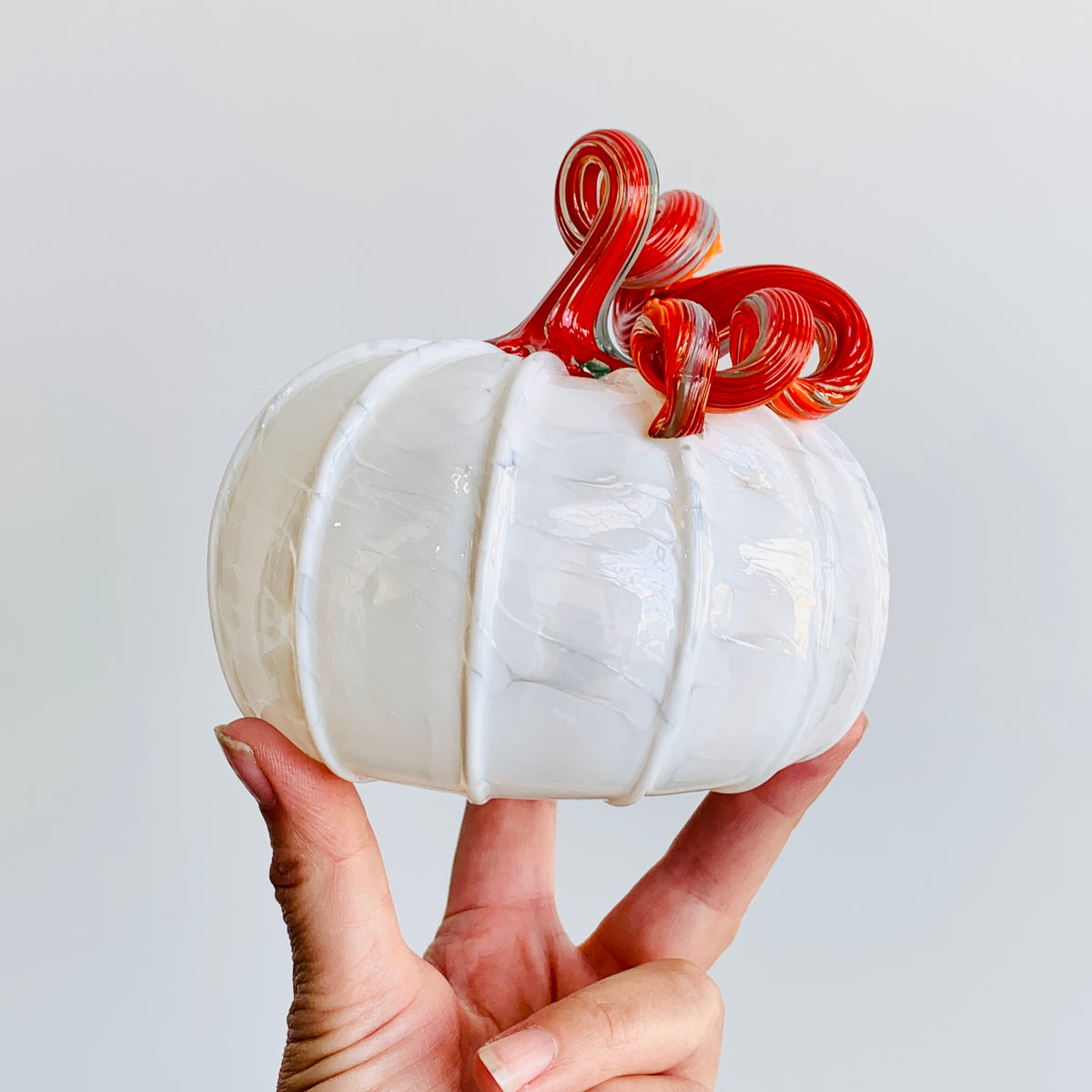 Daily Pumpkin 3221 Oops Squat