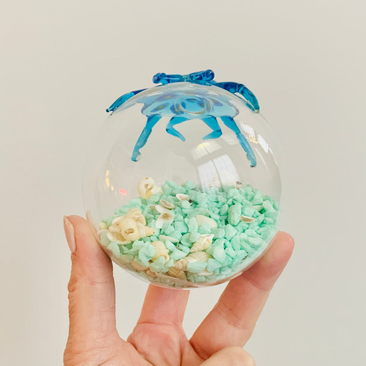 Glass Crab Globe with Sea Shells Decor Beachcombers 
