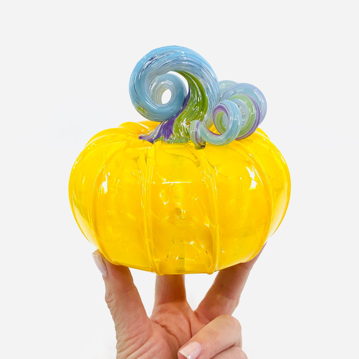 Daily Pumpkin 1133 Squat