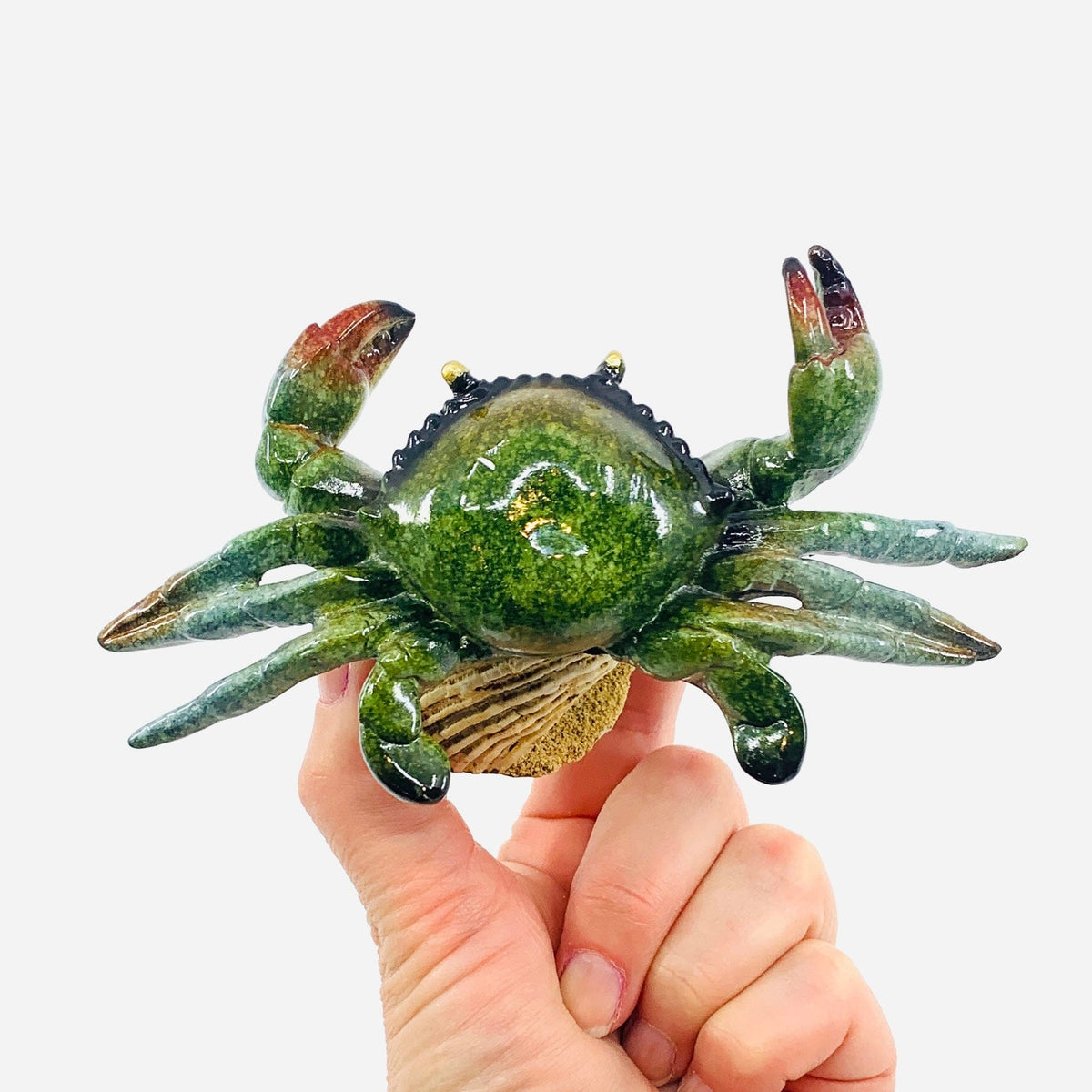 Sea Green Crab Bobble Head Décor Chesapeake Bay 