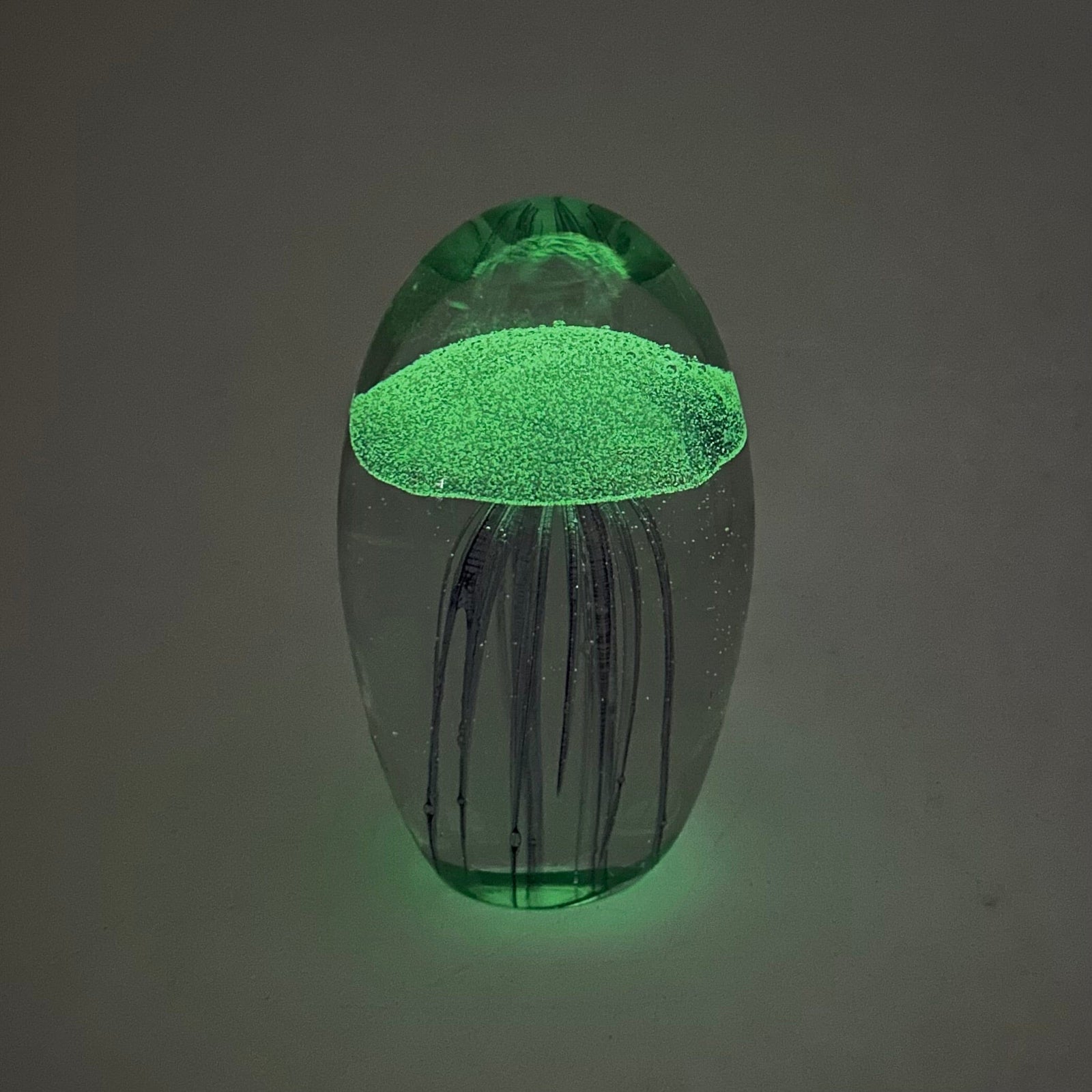 Purple Jellyfish Paperweight 19 Decor Chesapeake Bay 