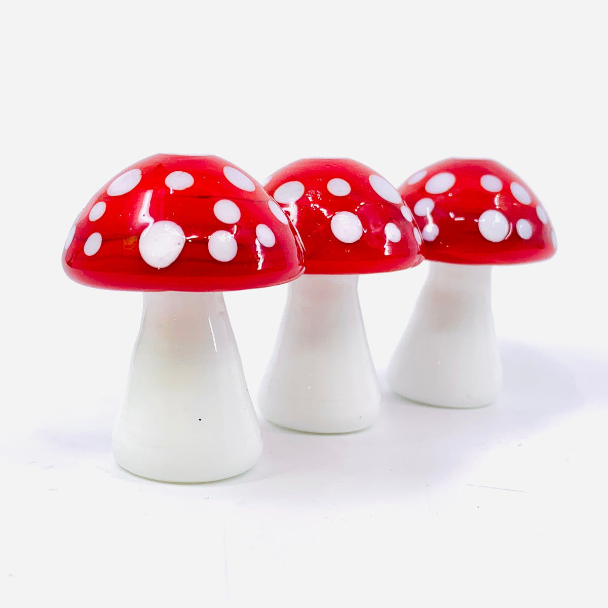 Pocket Toadstool