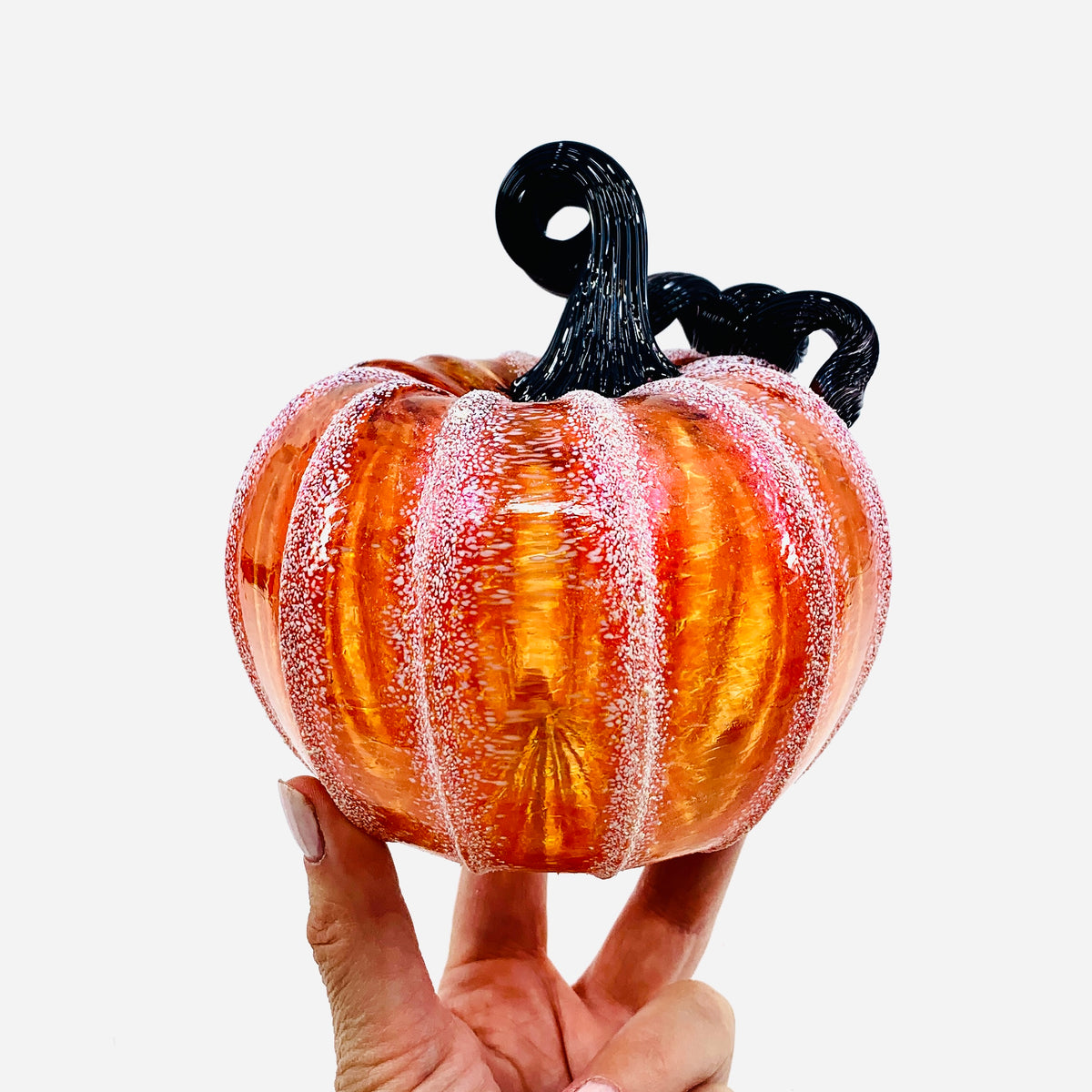 Daily Pumpkin 456 Fall Jumbo Squat