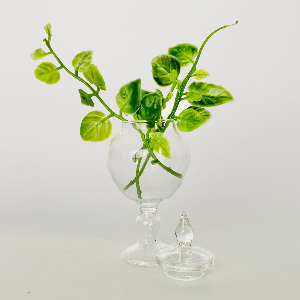 Tiniest Glass Apothecary Jar Miniature Alex 