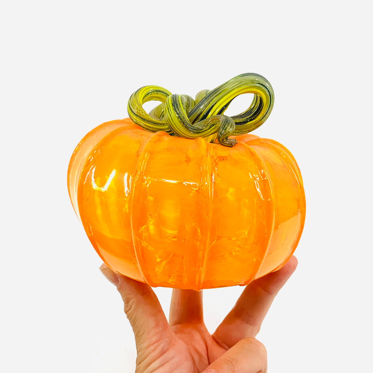 Daily Pumpkin 2144 Oops Squat