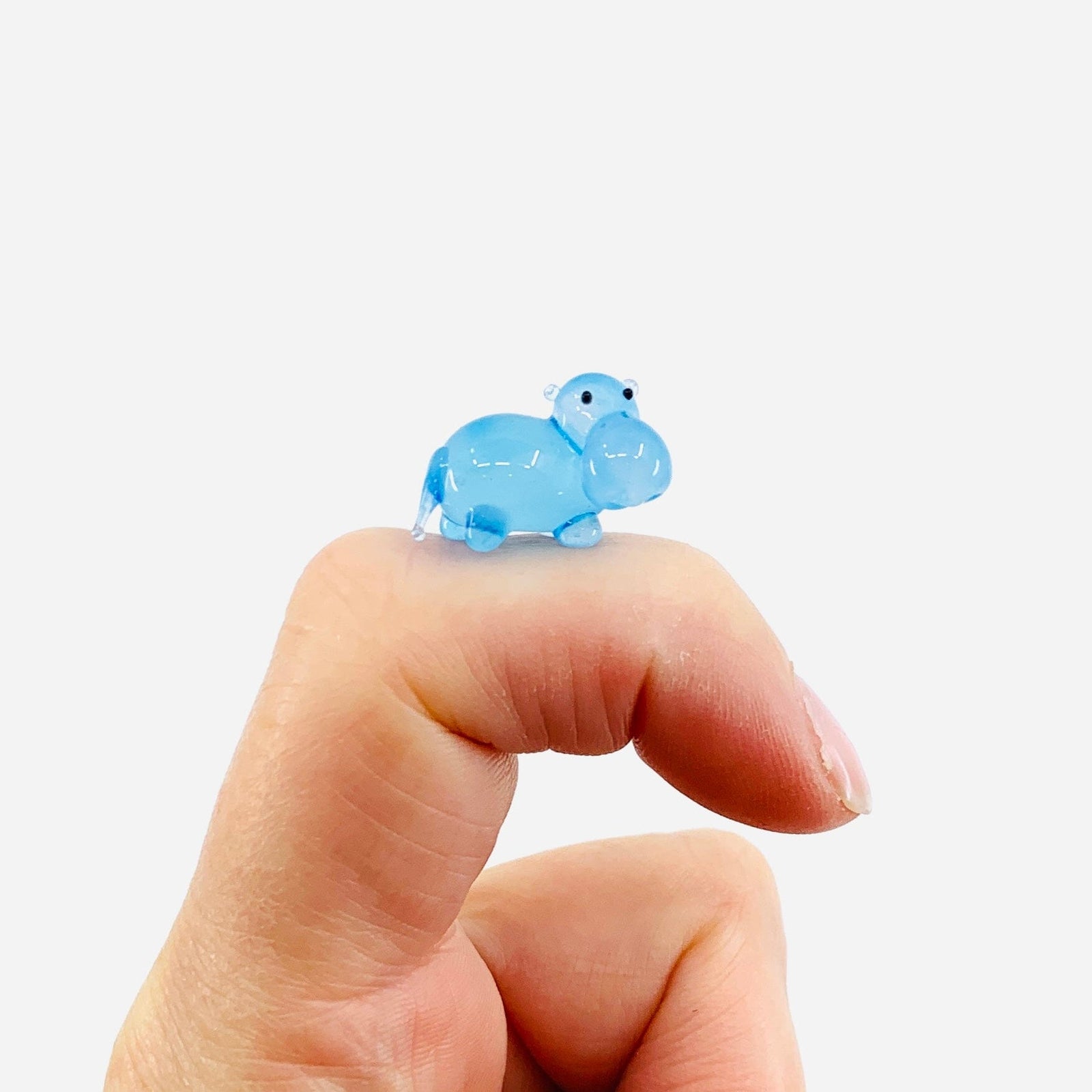 Teeny Teensie Blue Hippo 40 JACO 