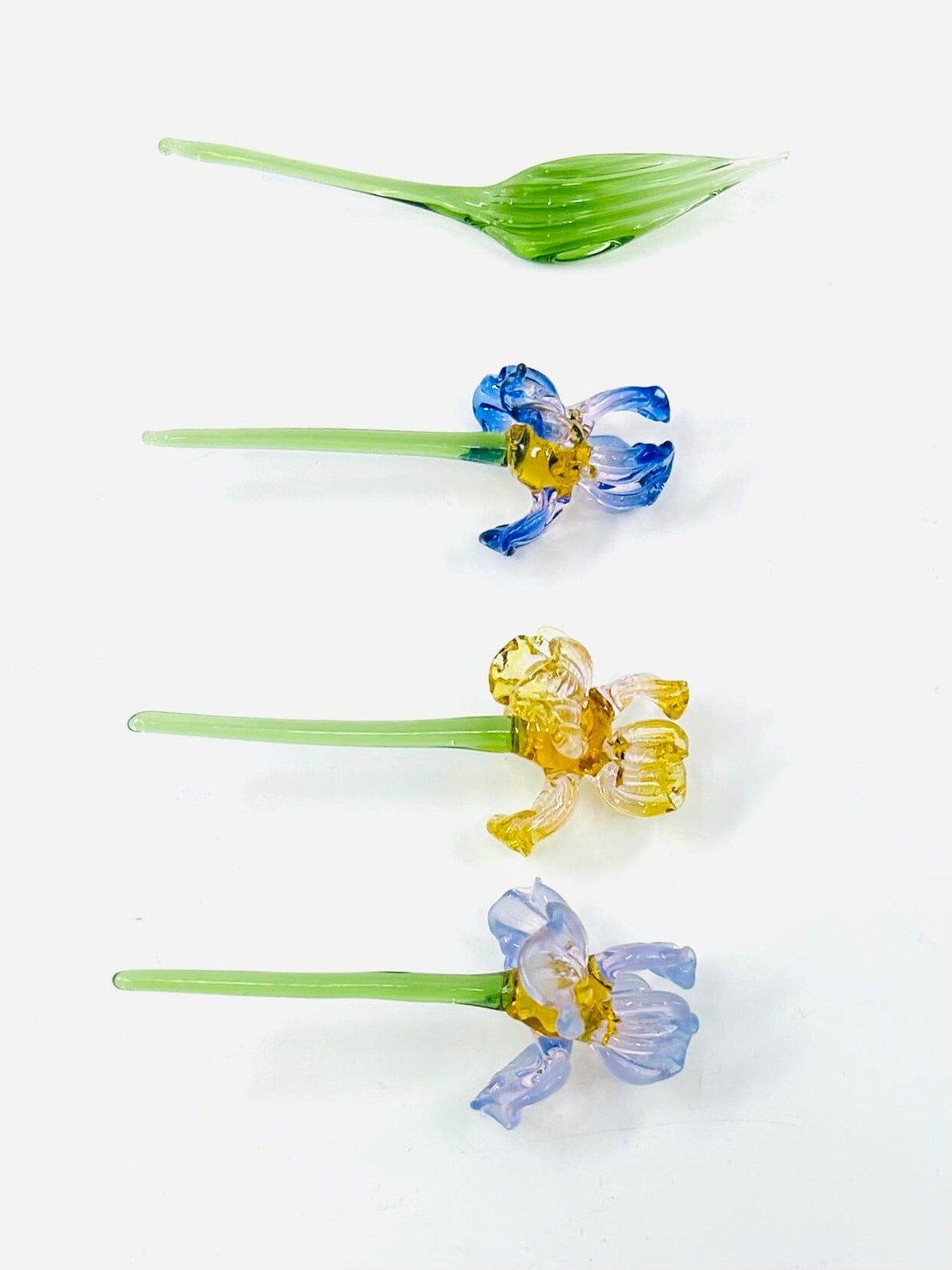 Tiny Iris Build Your Own Bouquet Alex 