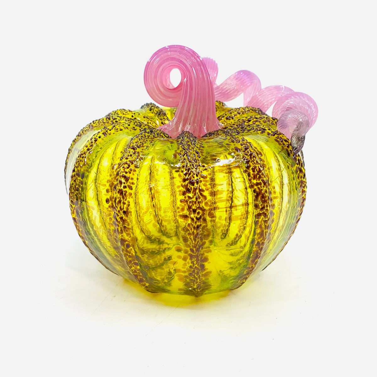 Daily Pumpkin 3153 Fall Squat