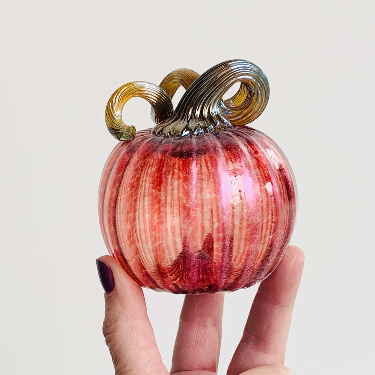 Daily Pumpkin 766 Shimmer Mini