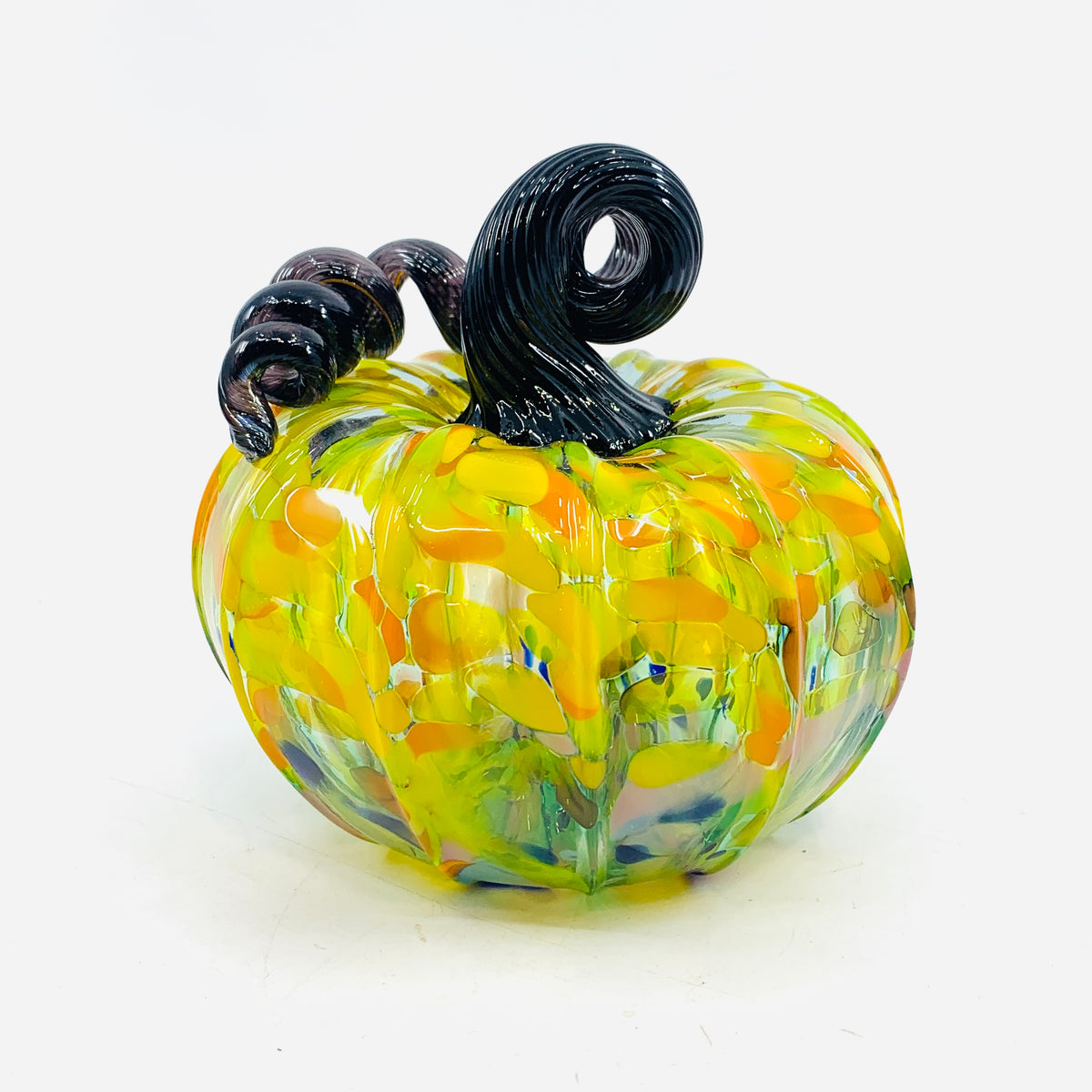 Daily Pumpkin 966 Squat
