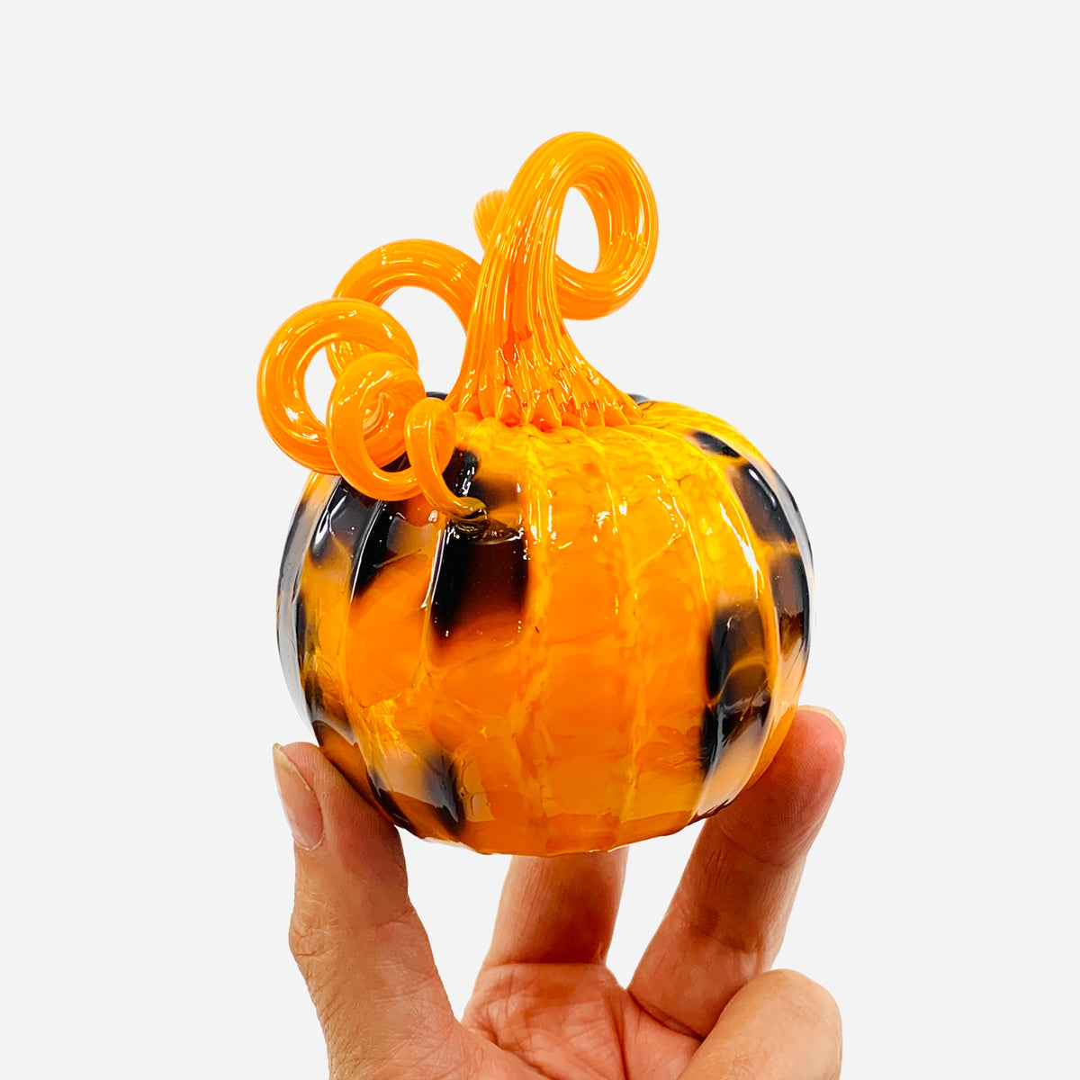 Daily Pumpkin 3264 Fall Mini