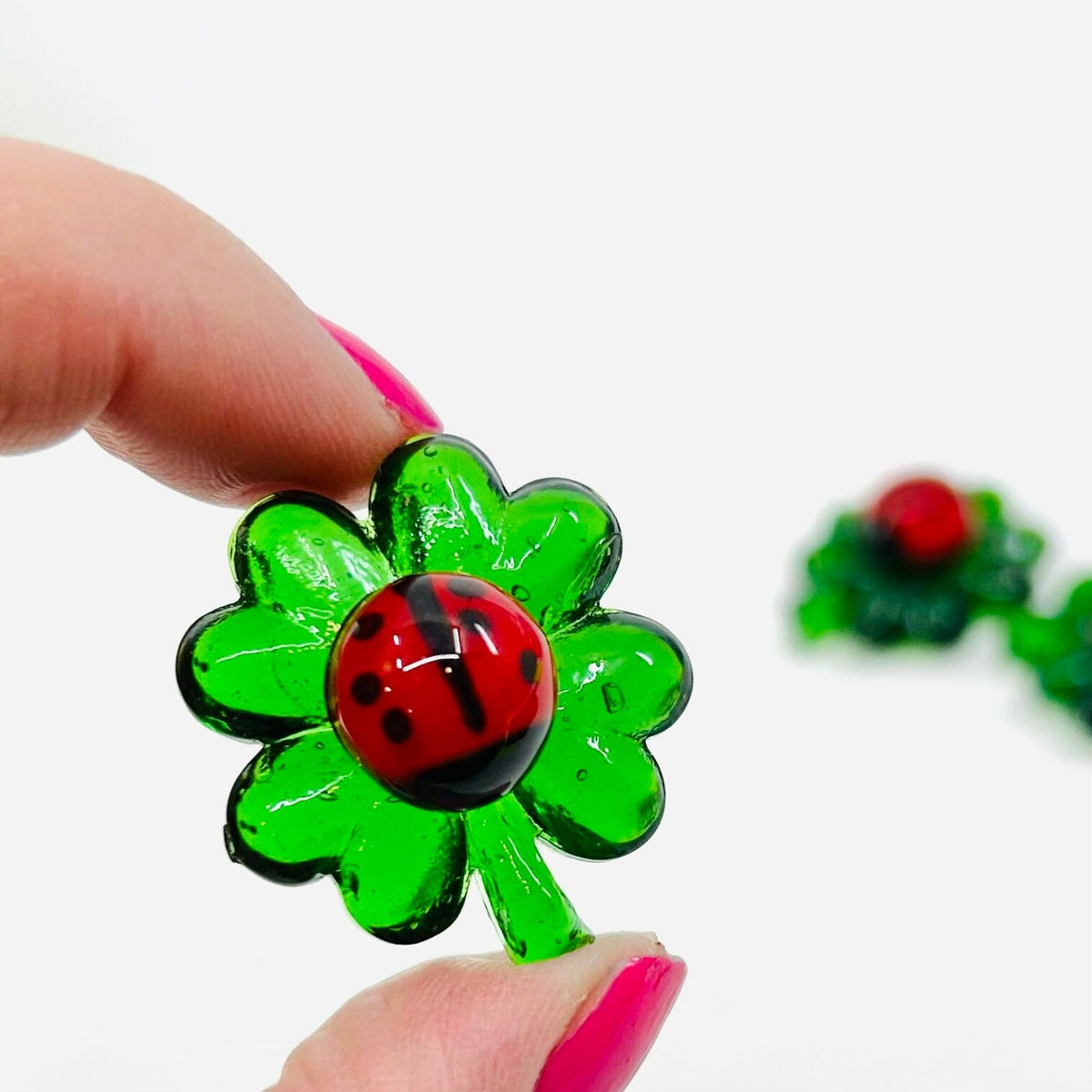 Lucky Glass Pocket Clover, Ladybug Miniature - 