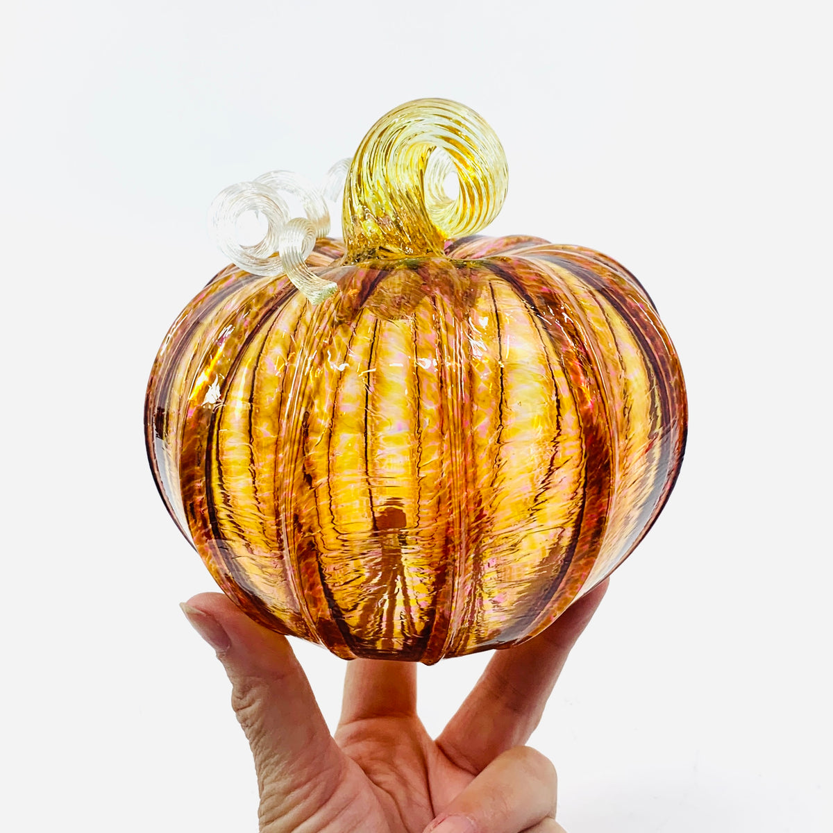 Daily Pumpkin 3340 Fall Squat