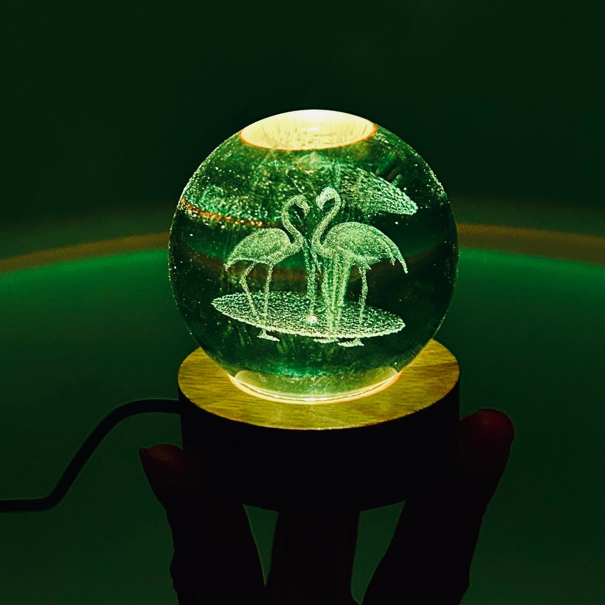 Light Up Etched Glass Sphere décor - Flamingo 29TONIGHT 