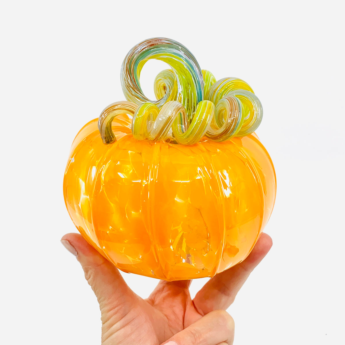 Daily Pumpkin 1105 Rainbow Stem Squat