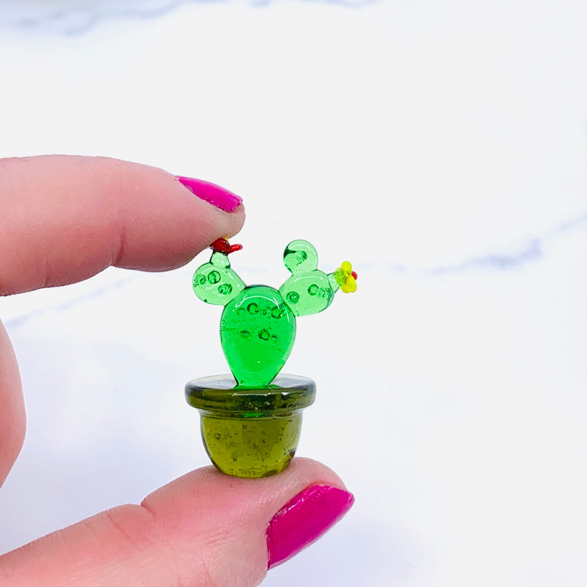 Mini Glass Cactus, Sombrero