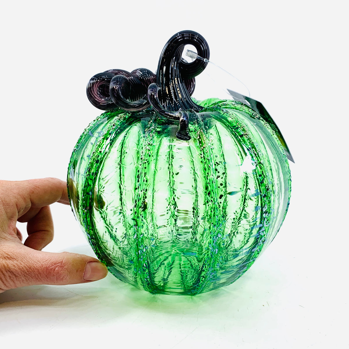 Lost Inventory 1112 Wicked Witch Medium