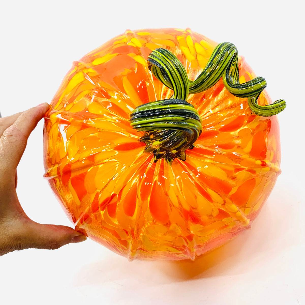 Best Daily Pumpkin 3449 Fall Large