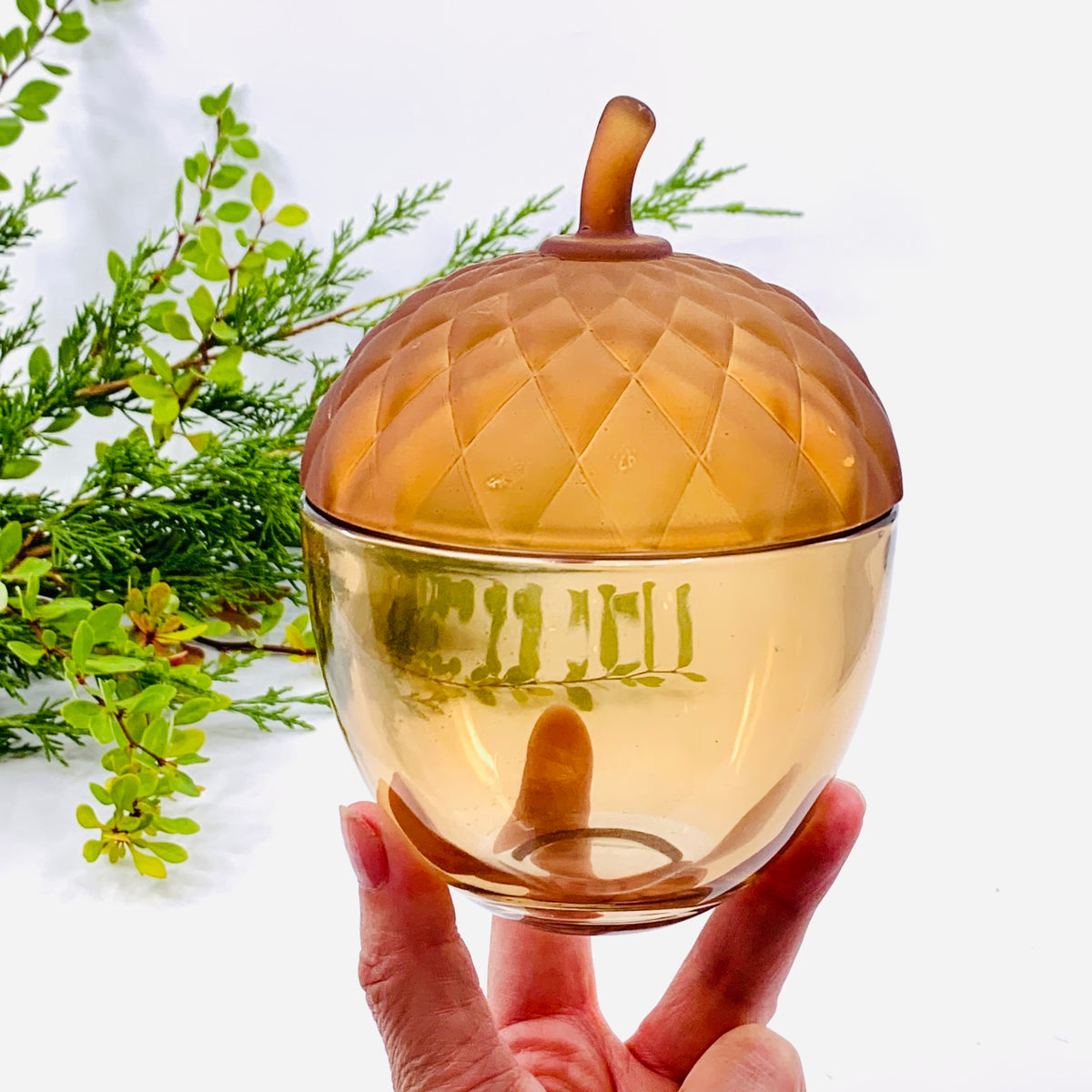 Glass Acorn Jar, Tan
