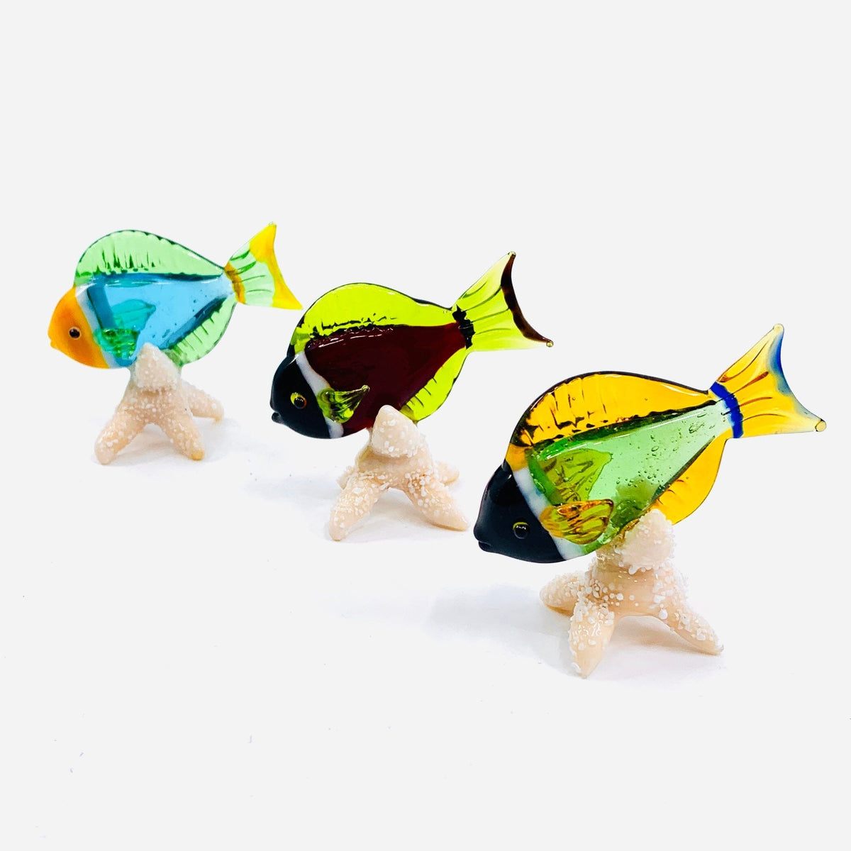 Tropical Fish on Sea Stars, Green Decor Beachcombers 
