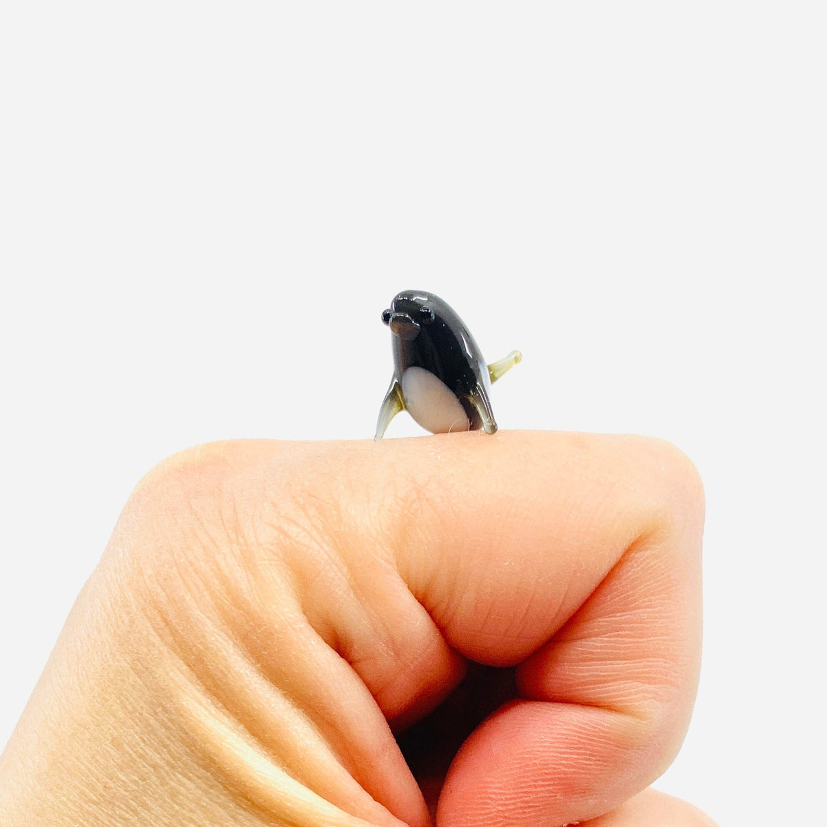 Teeny Teensie Baby Shamu 44 JACO 