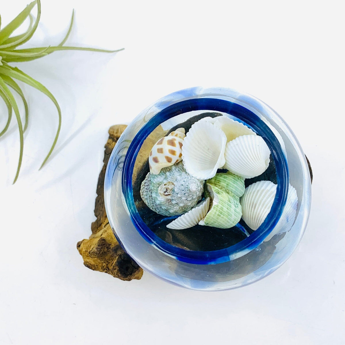 Driftwood Blue Dot Bowl Decor Chesapeake Bay 