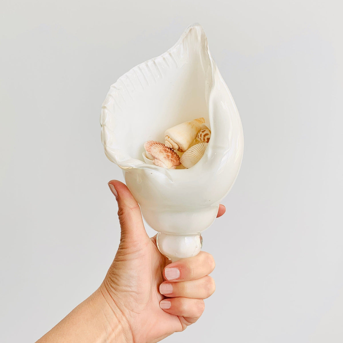 White and Clear Glass Conch Shell Decor Beachcombers 